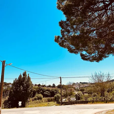Mae Story קלדס דה ריינה